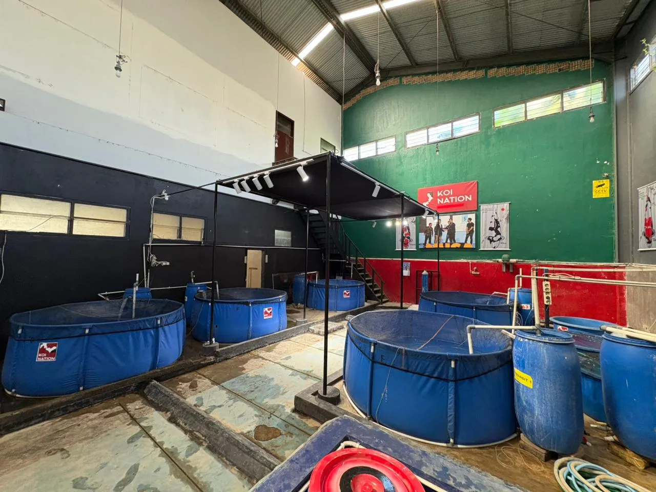 Quarantine Area Koi Nation